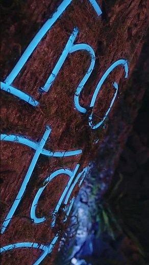 Le studio de Inoxtag est incroyable, les étapes de réalisations 3D arrivent prochainement ! 🍃🤤🌿