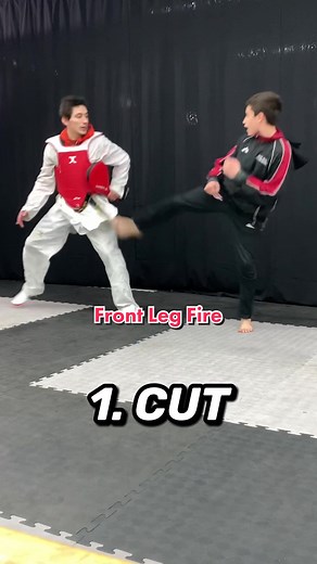 6 Basic and Effective Front Leg Techniques in Sport Taekwondo