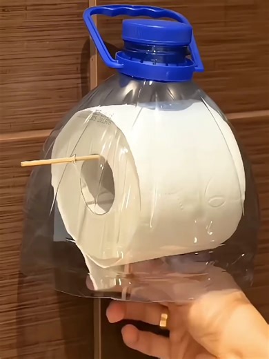 Creative and Simple Ideas to Try Today