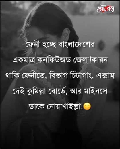 Traditional Saree Elegance: A Behind View of Beauty