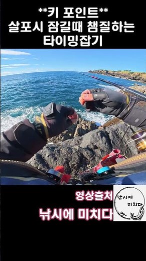쥐치 입질 이렇게 잡습니다 #shorts #쥐치 #쥐치낚시 #낚시팁 #갯바위낚시 #바다낚시 #찌낚시 #낚시쇼츠 #fishing #fishingtips