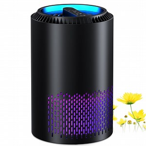 BREEZOME HEPA Air Purifier Remove PM10, PM2.5, Dust, Cotton Lint, Hair Air Cleaner for Home Bedroom, Black