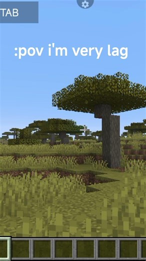 pov i'm very lag in minecraft java launcher