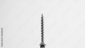 Black self-tapping screw is magnetized to a Phillips screwdriver close-up on a white background