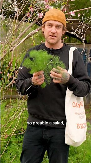 Discover Edible Weeds in Australia!