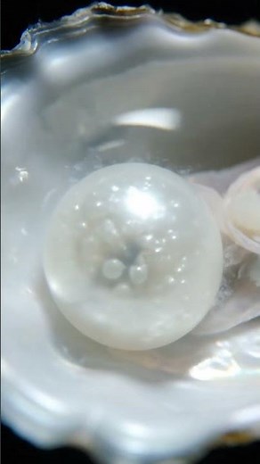How Pearls Are Formed | Nature’s Hidden Process