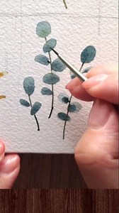 Simple silverl dollar eucalyptus with watercolor: Full Class on Skillshare!