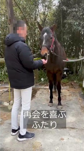 競走馬時代に担当していただいた調教助手さんが会いに来てくれました！ グランドボヌール #引退馬協会 #フォスターホース #グランドボヌール #horse