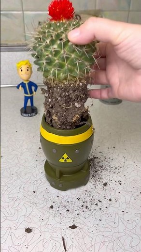 PLANTING IRRADIATED CACTUS IN A MINI NUKE!