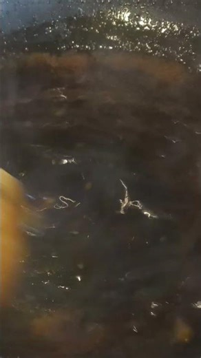 合鴨に合うソース作っていく