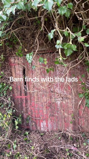 Discovering Hidden Treasures in Barns with Friends