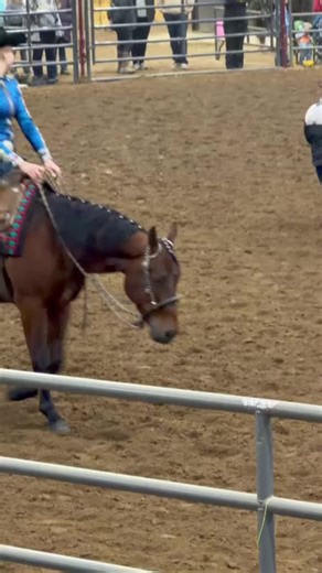 Hottie on Purr: A Western Pleasure Journey