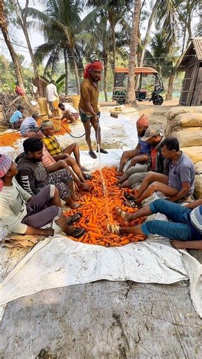 Amazing Carrot Washing Process 🥕💦