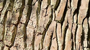 Motif de texture de l'ancien énorme : vidéo de stock (100 % libre de droit) 3857559467 | Shutterstock