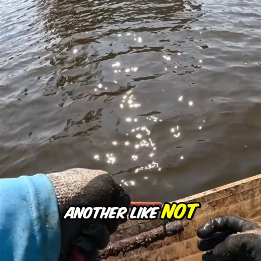 13K views · 303 reactions | Every throw yields something wild! From train brake pads to mystery metal, we are pulling up treasures. What's the story behind that odd bolt and those potential earrings? Could be from the railroad, a past workshop, or somewhere else entirely. Have you ever found something unexpected? #magnetfishing #treasurehunt #urbanexploration #metaldetecting #uniquefinds #history #mystery | The Fisher | Facebook