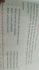 and interrogative adjectives interrogative adjectives. As an be... | Filo