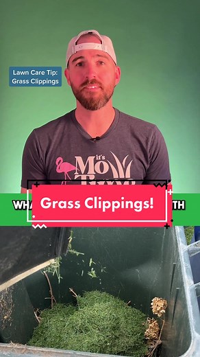 What to Do with Grass Clippings? Bagging, Discharge, or Mulching