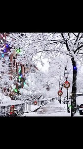 124K views · 3.3K reactions | Lady In Red Christmas | Lady in Red Christmas | Facebook