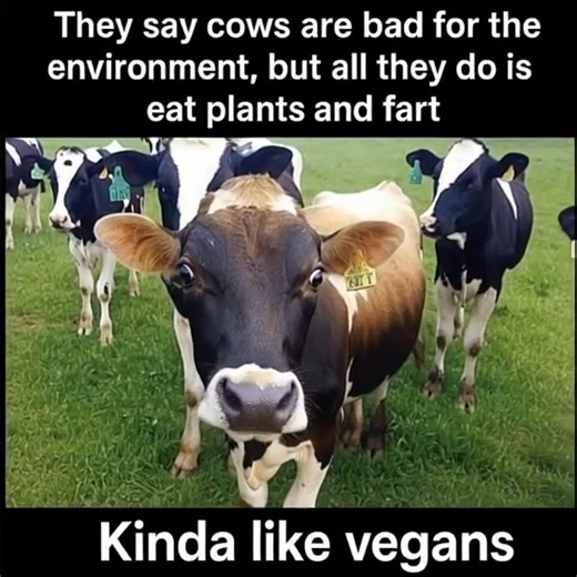 Do cows or vegans fart more? | Dan Quibell - The Bacon Experiment