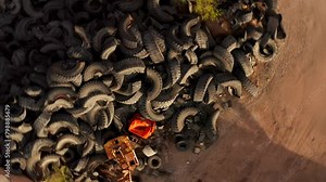 Heap of old car junk tires used truck rubbish wheels, Industrial landfill for processing, drone view. Lots of discarded tires at tire dump.