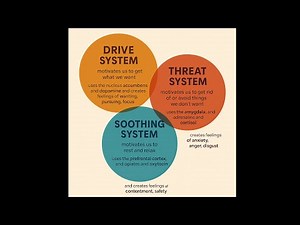 The Ultimate Guide to Emotion Regulation! Understanding Your Drive, Threat, and Soothe Systems.