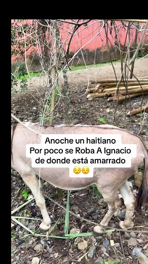 😌😌😌 Seguir para las otra parte
