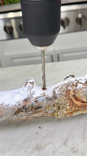 1.3M views · 33K reactions | From Dollar store to Holiday decor I used Christmas tree ornaments from the dollar store and an old tree branch to create this affordable holiday decor. Don't foget to add twinkle lights. #crafting #dollartreediy #holidaydecor | The Gooch | Facebook