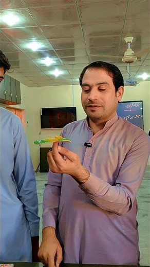 Why This Bird Balances Anywhere?