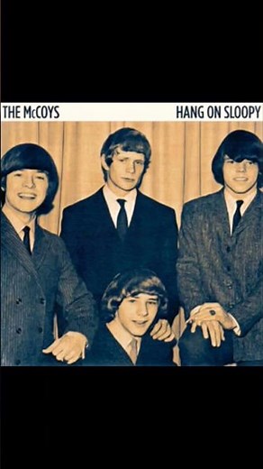 The McCoys 🇺🇸 Hang on Sloopy 1965 #60s