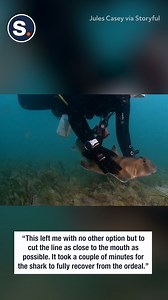 That is one daring shark rescue! | storyful
