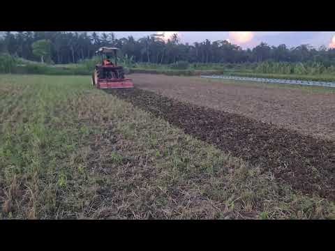 The Process of Leveling Field Land Using Modern Agricultural Tools and Machinery—Agriculture Farming