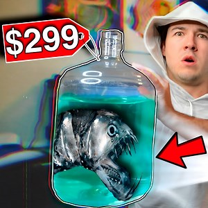 8.8K views · 287 reactions | Buying The Scariest Fish I've Ever Owned... | The Fish Guys | Facebook