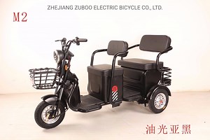 [Hot Item] Economic 48V/60V Heavy Loading Auto Rickshaw Electric Tricycle for Old People