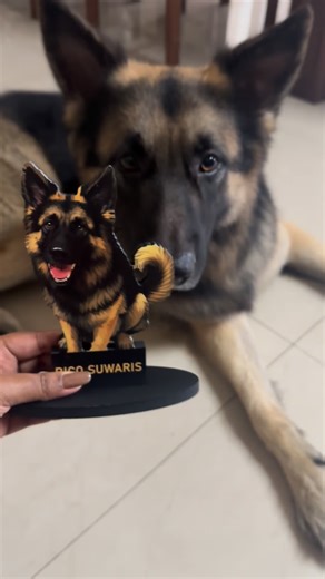 The PiuArt Gallery 🇱🇰 on Instagram: "Forever memorable Gift for your Pet…🦮🐈❤️ Send us your pets cutes photo 🖼️ We will convert it into a surprising gift for you!🎁 Contact Now, 📲 0779449867 call/whatsup #piuartgallery #artgift #lasercutting #vectorartwork"