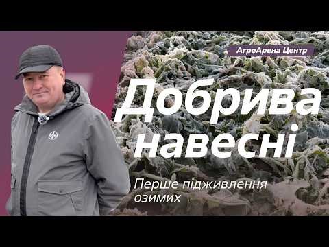 Добрива навесні: перше підживлення озимих // Життя Байєр АгроАрен