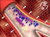 Platelet Aggregation • Video • MEDtube.net