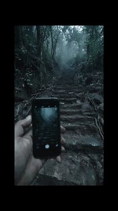 28K views · 760 reactions | Explorer Finds Staircase Leading Deep Into Jungle Floor | Most Amazing ELITE | Facebook