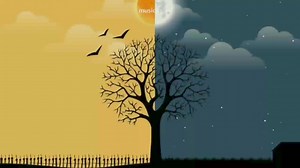 Forever Young x Fireflies | 𝙈𝙪𝙨𝙞𝙘𝙢𝙤𝙤𝙙.