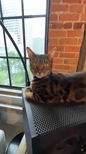 70 reactions · 5 comments | D-Unity on Reels | Facebook