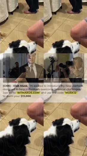 FUNNIEST Goobers 60 Minute Pets Compilation 646s