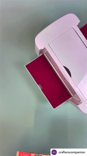 How gorgeous is this Crafter's Companion embossing folder!? 🌼🐞🌸 Packed full of pretty flowers, lovely foliage and ladybugs, this will create beautiful backgrounds full of detail for your craft projects! ✨ Say yes to spring! #Csmcarnival2K25 #csmcarnivalsponsor #carnivalsponsor #cardmaking #greetingcards #papercrafts #craftideas #embossing | Creative Scrapbooker Magazine