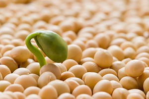 Watch: Sowing Kindness a moving short about spreading kindness in 2017