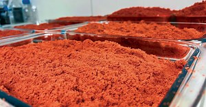 Cobalt Blue progresses plans for Australia's first Cobalt Sulphate Refinery