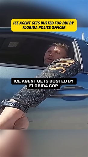 8.5K views · 38 reactions | ICE Agent Arrested for DUI in Florida  #bodycam #police #cop #usa #us | Best Show LosAngeles | Facebook