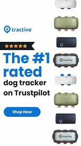磊Tractive Pet GPS was recognized as 'The Best Pet Tracker' by The New York Times Wirecutter!  Always know where your pet is, no matter where adventure takes them! Get live updates, escape alerts, and unmatched accuracy | Tractive | Facebook
