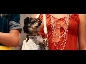 Marmaduke Clip - Canine Accessory