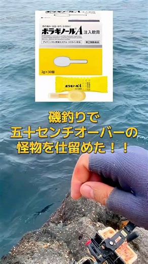 【地磯でまさかの50cmオーバー！】真鶴半島の地磯釣行です。ウキフカセでメジナ狙いなのに海藻と一緒にボラがかかりました。#釣り #磯釣り #海釣り #shorts #湘南