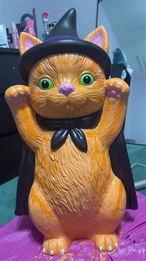 Home Depot Cat painted with tiger stripes and speckled nose