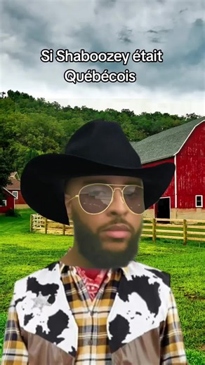 Part2. Traduire une chanson 😭 #abarsong #tipsy #rapquebecois #country