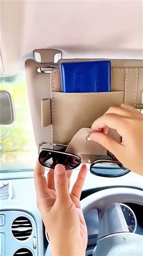 Ultimate Car Organization Multi Pocket Sun Visor Organizer Review! #caraccessories